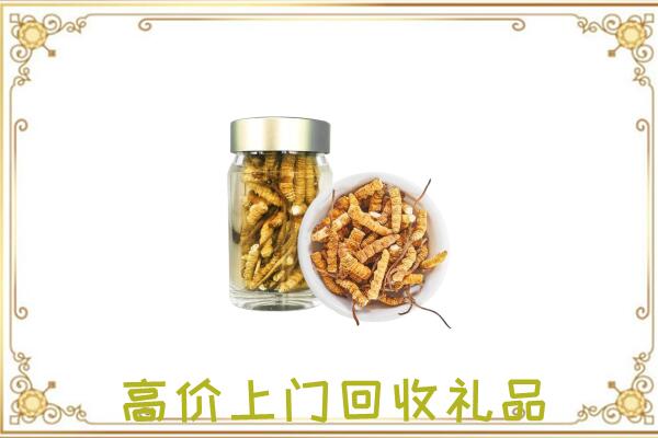 黄石周边回收虫草